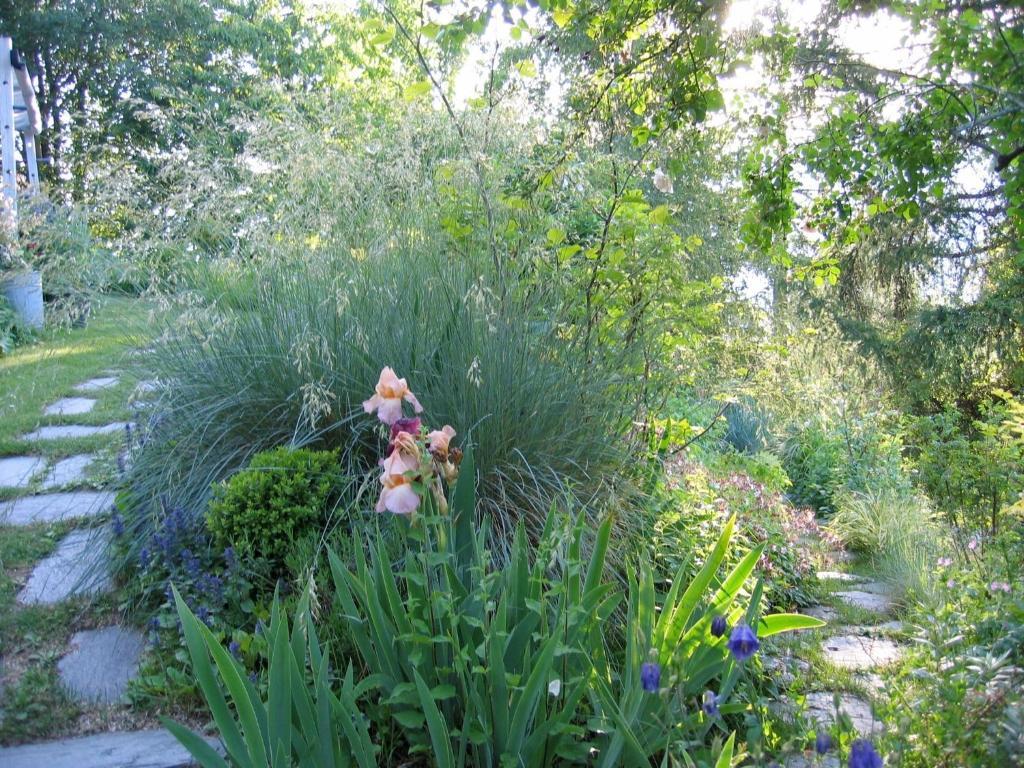 فيلا Il Giardino Dell'Artemisia بيلا المظهر الخارجي الصورة